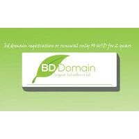 BD DOMAIN logo