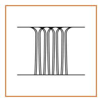 Princeton School Of Public And International Affairs logo