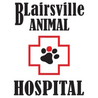Blairsville Animal Hospital logo