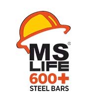MS Life Steel logo
