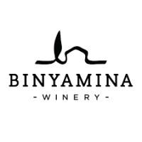Binyamina Winery logo