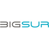 BigSur Partners logo