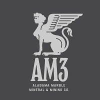 AM3 Stone logo