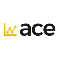 ACE FINANCIAL MANAGEMENT LTD logo