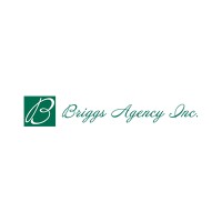 Briggs Agency Inc logo