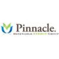 Pinnacle Energy Group Inc logo