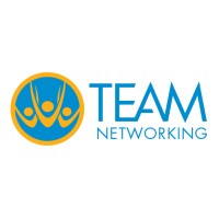 Team Networking, Inc. logo