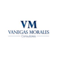 Vanegas Morales Consultores logo
