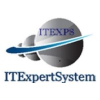 IT Expert System, Inc logo
