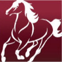 Mustang Technologies logo