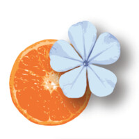 Bleu Tangerine Salon & Day Spa logo
