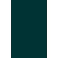 Geauga Pawn logo