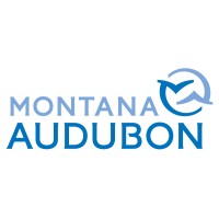Montana Audubon logo