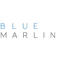 Blue Marlin Partners, LLC logo