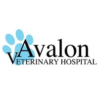 Avalon Veterinary Hospital logo