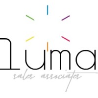 Luma Sales Associates logo