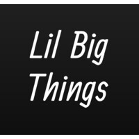Lil Big Things LLC logo