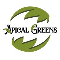 Apical Greens CBD logo