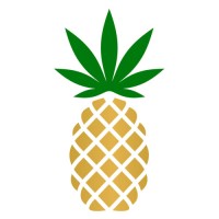 Image of Pineapple, Inc.