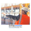 Synergy Environics Ltd logo