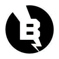 Big-Bot Design logo