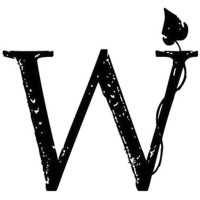 Wonder Studio logo