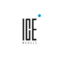 ICE Models Cape Town logo