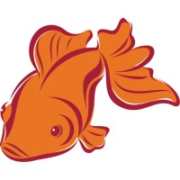 Image of Littlefish Design