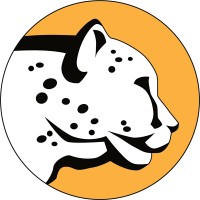 Cheetah Clean Auto Wash logo