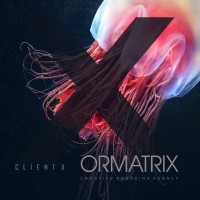 ORMATRIX | Custom Software & Web Design logo