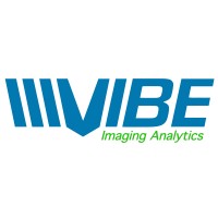 VIBE Imaging Analytics logo