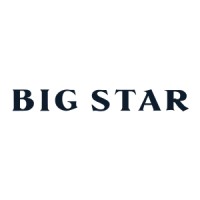 Big Star Denim logo