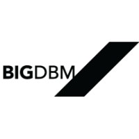 BIGDBM logo