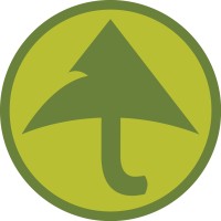 Image of Green Umbrella