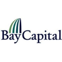Bay Capital Partners logo