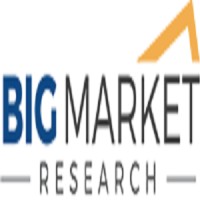 Big Market Research logo