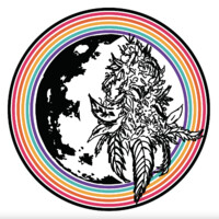 Moon Flower Hemp logo
