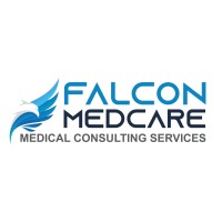 LEADING FALCON LLC logo