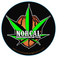 NorCal Seeds And Genetics logo