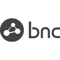 Business Network Consulting - BNC logo