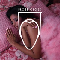 Floss Gloss Ltd logo
