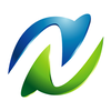 Netivity Solutions logo