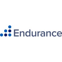 Endurance Search Partners logo