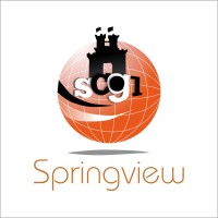 Springview Concept Global Limited logo