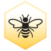 Bonita Bee Airport Express logo