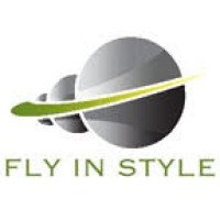 FLY N STYLE logo