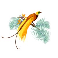 Native Vanilla logo