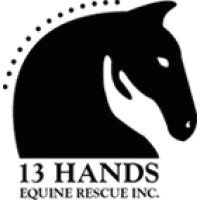 13 Hands Equine Rescue logo
