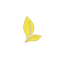 Spring Leaf Capital logo