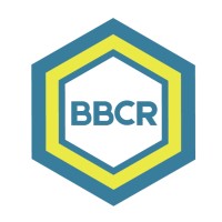 BBCR Consulting logo